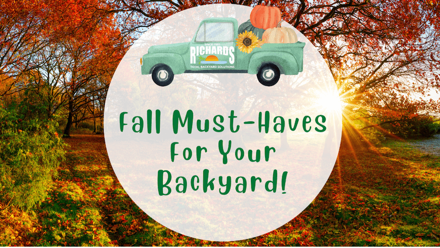 Fall Must-Haves for Your Backyard